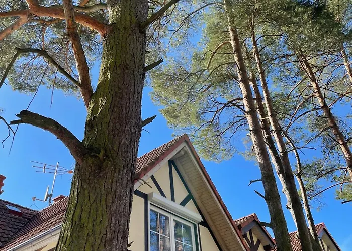 Morski Sen Dom wakacyjny *